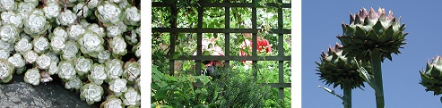 Open Gardens images 
