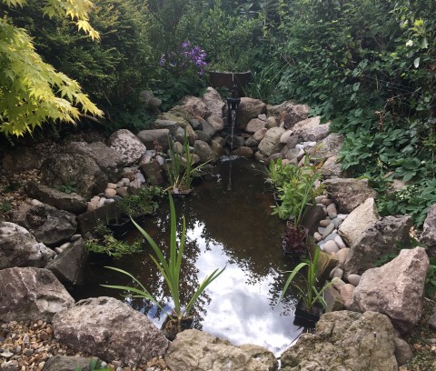 Longton Open Gardens