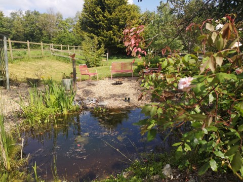 Forncett Open Gardens