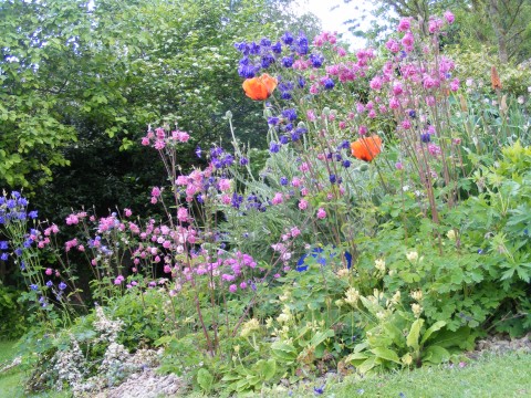 Fringford Open Gardens