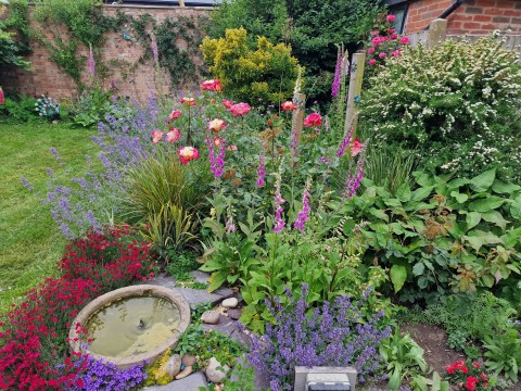 Bradfield Open Gardens