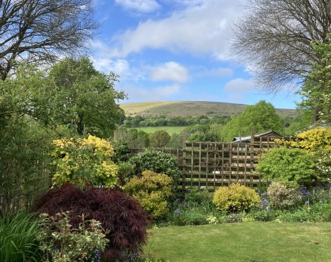South Zeal and South Tawton Open Gardens
