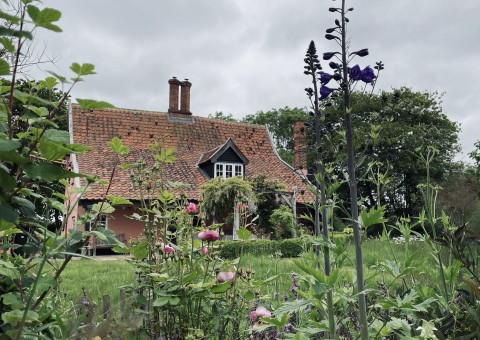 Gissing Open Gardens