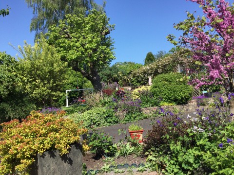 Belton Village Open Gardens