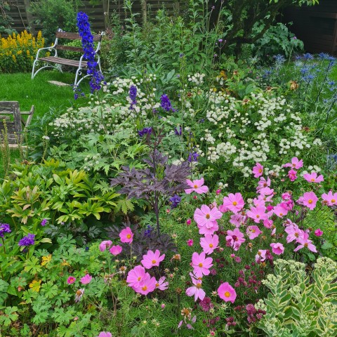 Beckford Open Village