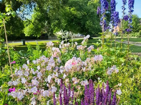 Kirkby Fleetham and Fencotes Open Gardens