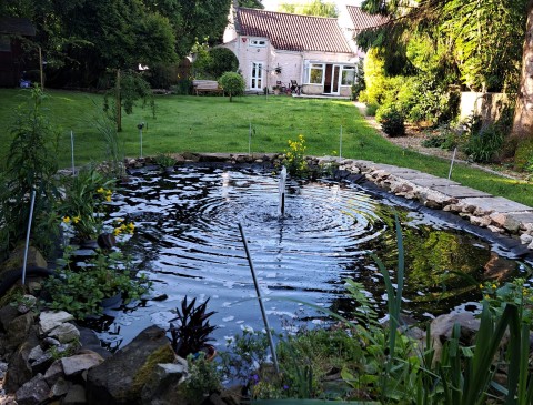 Leigh on Mendip Open Gardens and Heritage Trail