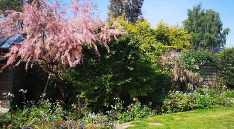 Hathern Open Gardens