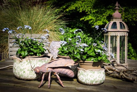 Eckington Open Gardens and Flower Festival