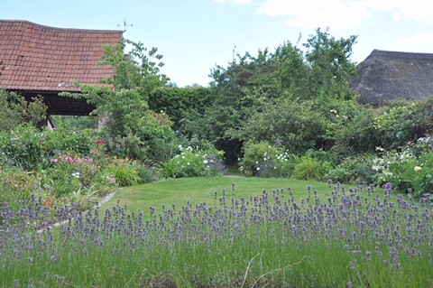 Drayton Village Gardens