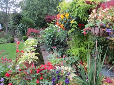 Tickenham Village Open Gardens