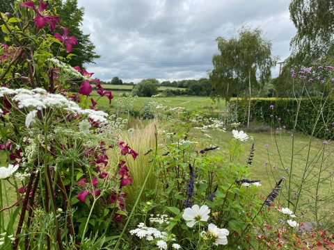 Stoke Holy Cross Open Gardens | the National UK Open Gardens Directory