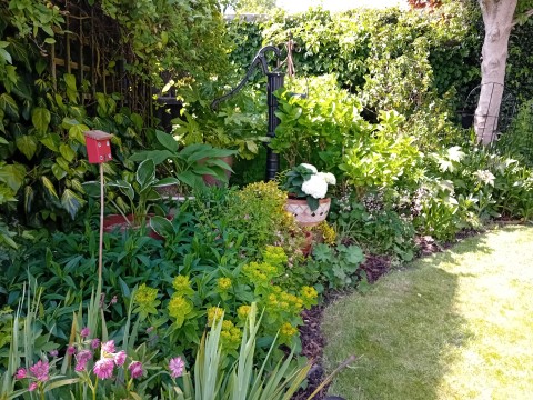 Linslade Open Gardens