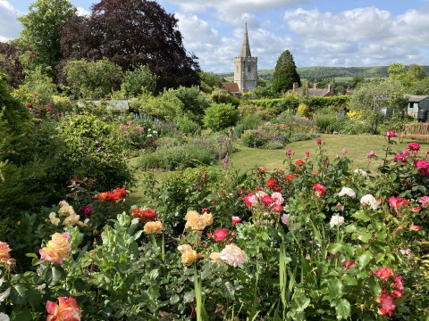 Iwerne Minster Open Gardens