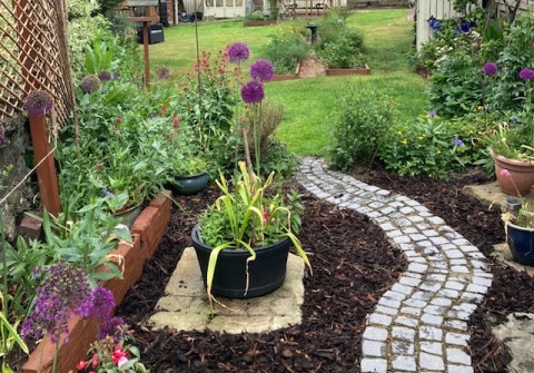 Clayton Open Gardens