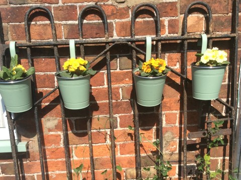 Nether Whitacre Open Gardens