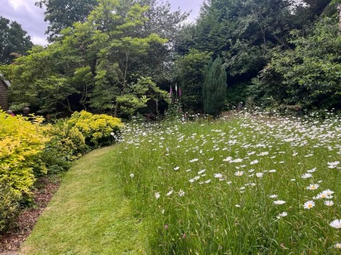 Ampthill Open Gardens