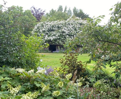 Chilbolton Open Gardens