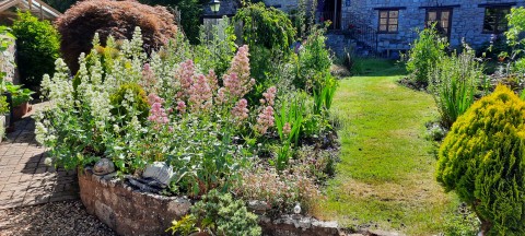Kilve Village Open Gardens Day