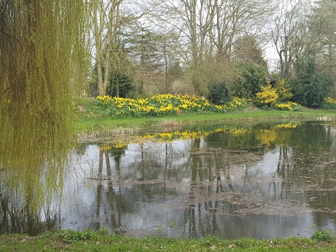 Wreningham Open Gardens