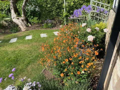 Harvington Open Gardens