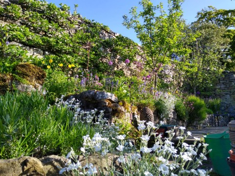 Low Row Open Gardens