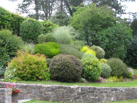 Bampton Hidden Gardens