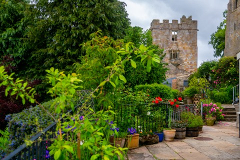 West Tanfield Open Gardens