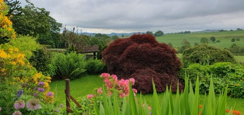 Longnor Open Gardens
