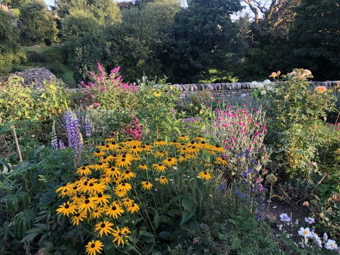 Casterton Open Gardens