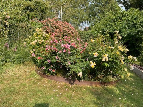 Stoke Goldington Open Gardens