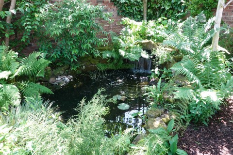 Milton Open Gardens