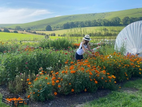 Rodmell Open Gardens