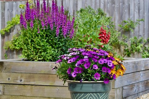 Holme-next-the-Sea Open Gardens