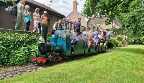 Otterton Open Gardens