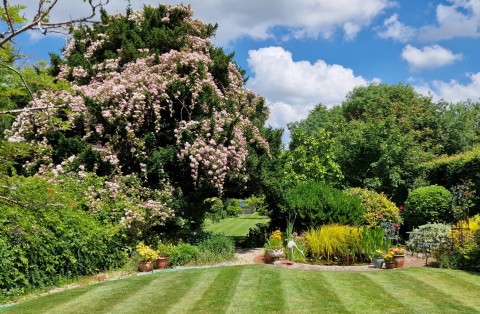 Prestbury Open Gardens