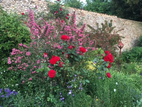 Wereham Open Gardens