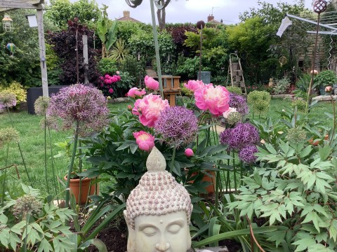 Herne and Broomfield Garden Safari