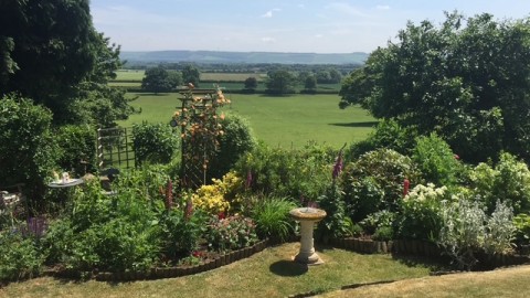 Hutton Buscel Open Gardens